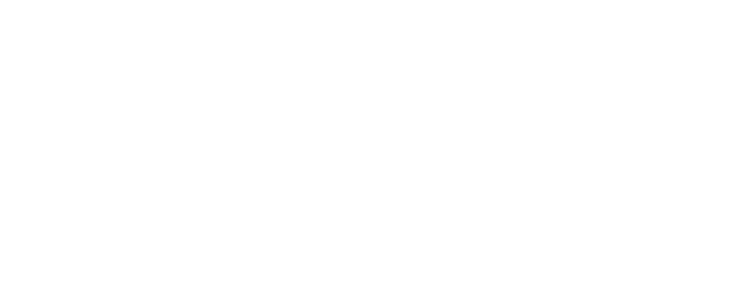 star brite logo